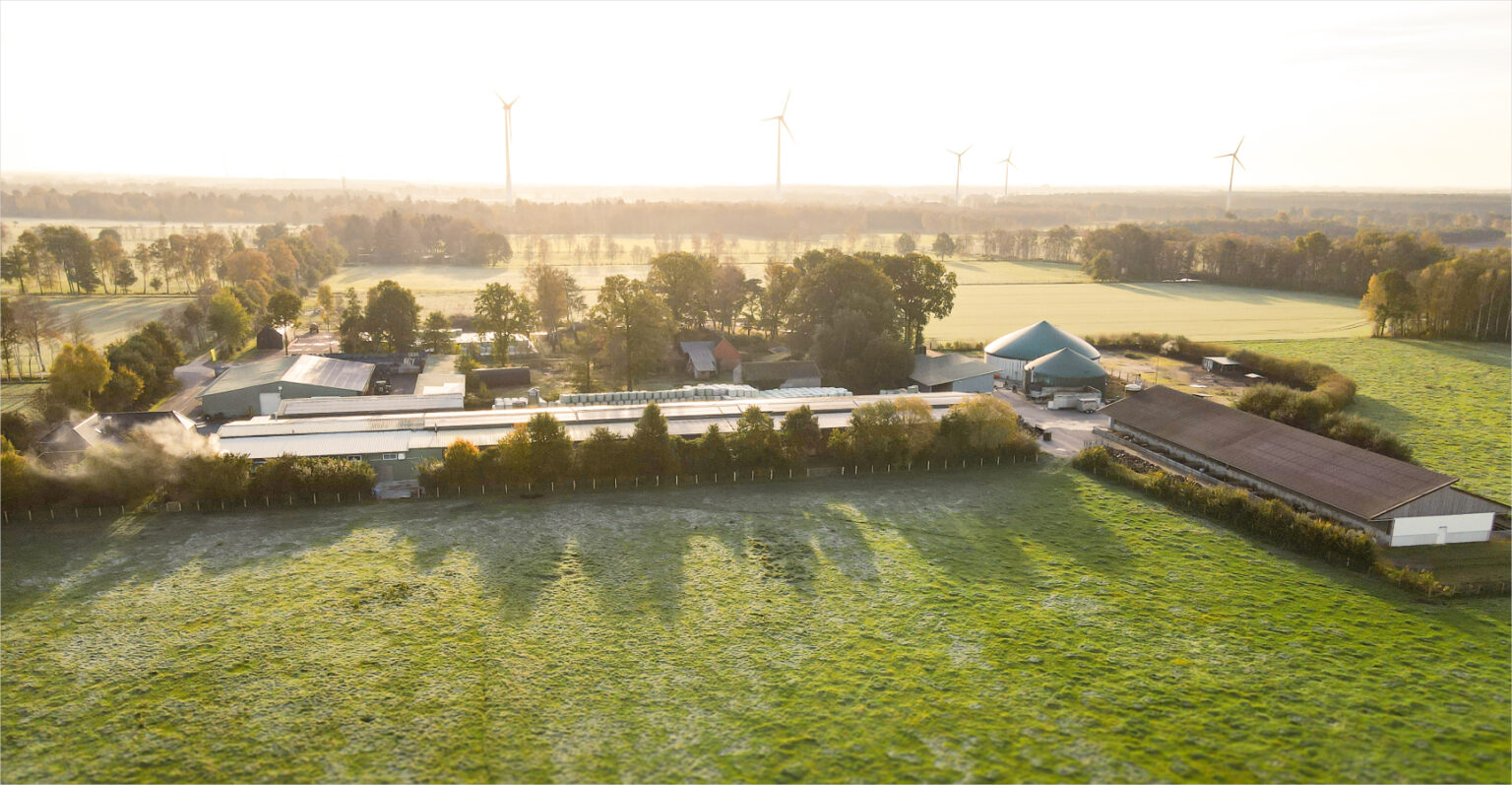 Hofstätte Königsmoor